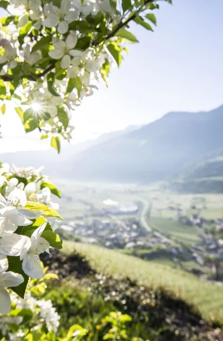 Frühling in Partschins erleben