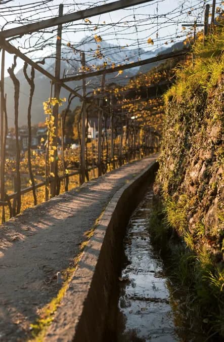 Der Goldene Herbst